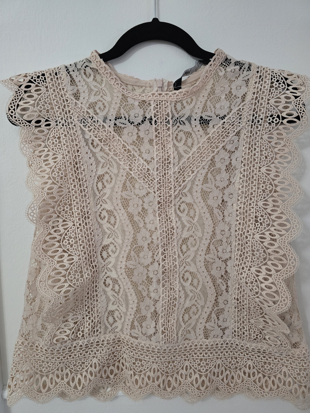 Zara Blush Lace Sleeveless Top